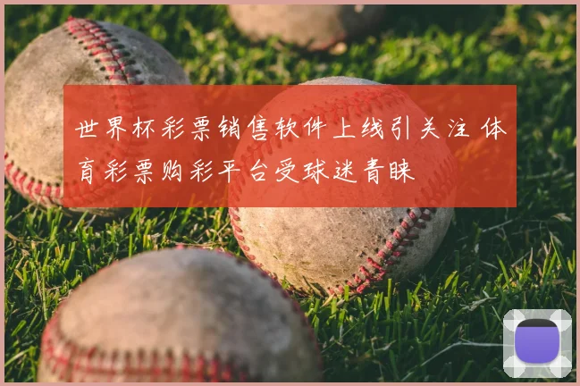世界杯彩票销售软件上线引关注 体育彩票购彩平台受球迷青睐