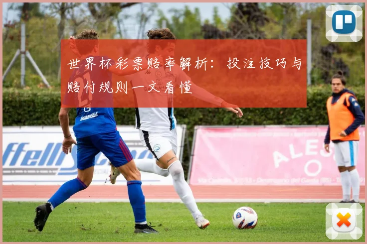 世界杯彩票赔率解析：投注技巧与赔付规则一文看懂