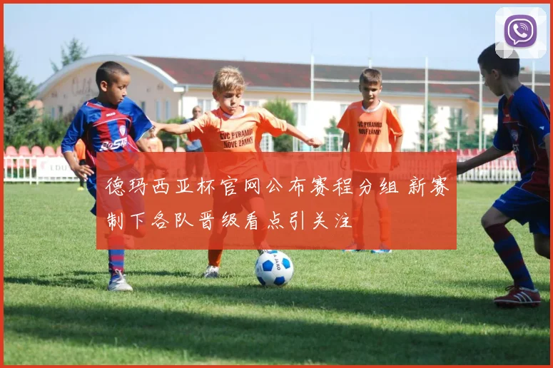 德玛西亚杯官网公布赛程分组 新赛制下各队晋级看点引关注