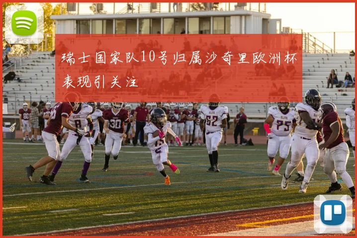 瑞士国家队10号归属沙奇里欧洲杯表现引关注