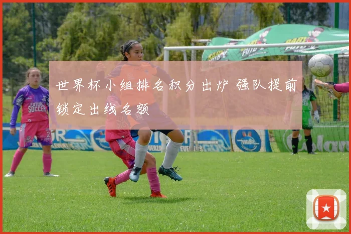 世界杯小组排名积分出炉 强队提前锁定出线名额