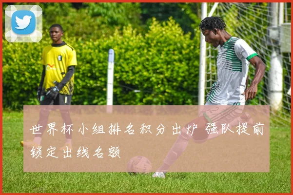世界杯小组排名积分出炉 强队提前锁定出线名额