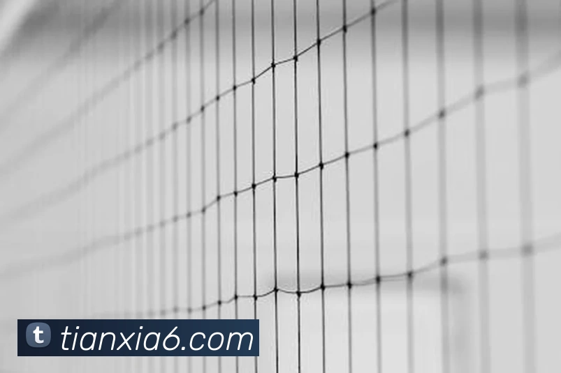 玩球直播nba手机版发展历程